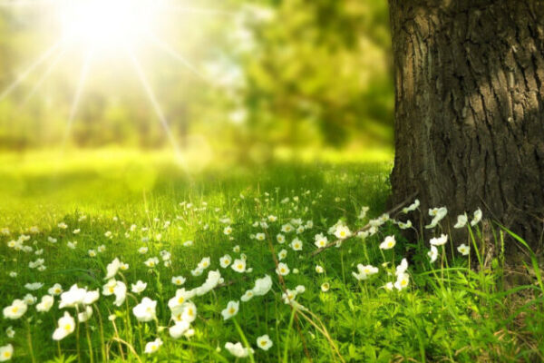 фото погода