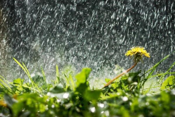 фото погода