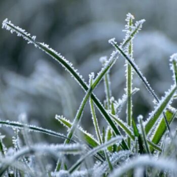 фото погода1