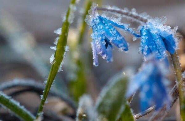 фото погода1