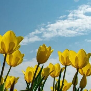 фото погода1