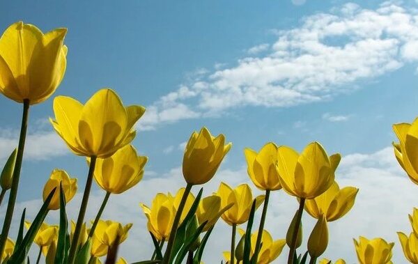 фото погода1