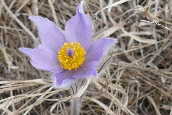 фото погода1