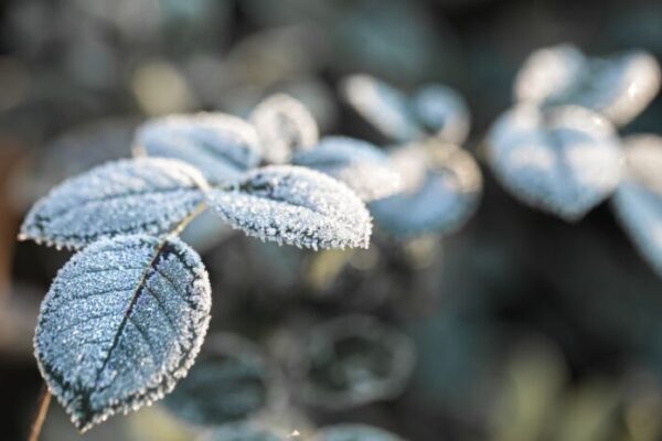 фото погода1