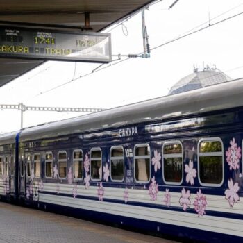 фото сакура