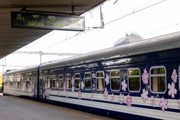 фото сакура