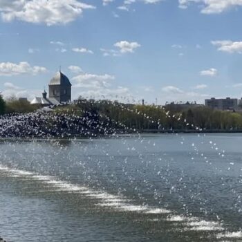 фото фонтани1