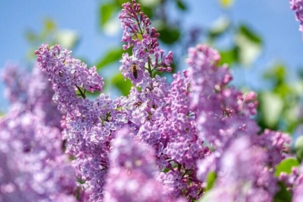 фото погода1